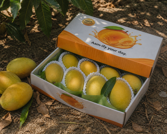 Royal White Chaunsa Mangoes | The Sweetest Summer Treat