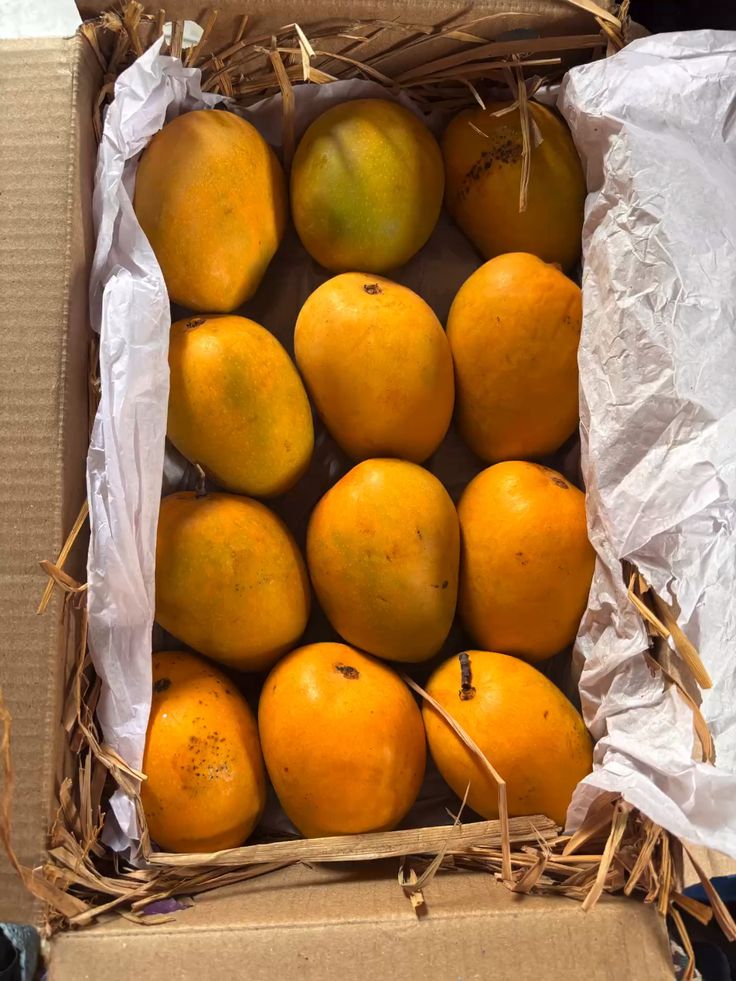 How to Ripen and Store Mangoes at Home: The Complete Guide